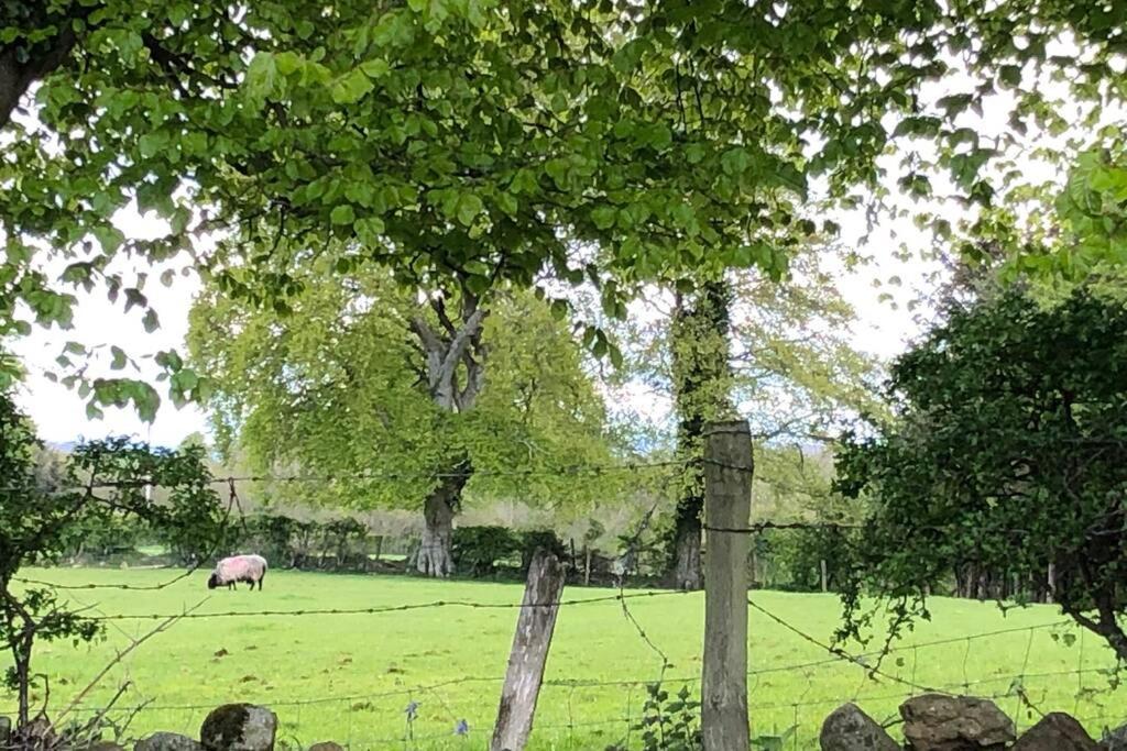 Ballyheifer House - A Beautiful 5 Bedroom Home. Magherafelt Luaran gambar